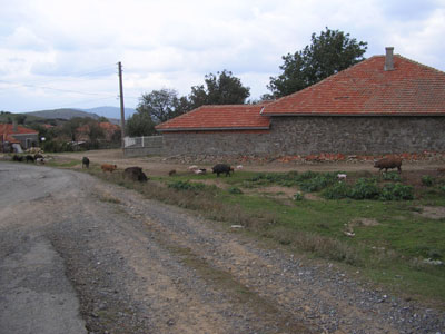 The streets of Erkech