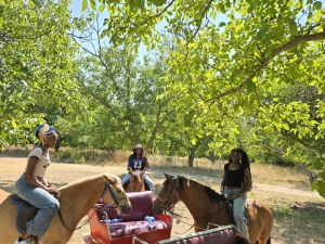 Mega Jeep Safari – Off-Road Adventure, Adrenaline & Fun!